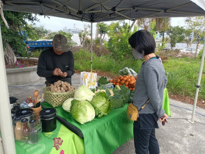 （圖／台東縣府環境保護局）