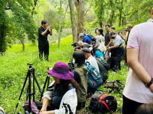 東勢林場在4/13傍晚邀攝影大師江村雄跟他的團隊在林場內免費教授如何使用相機及手機捕捉螢火蟲美麗的身影。(圖/地方中心)