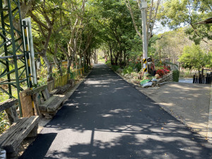 再生粒料示範道路完成鋪設煥然一新