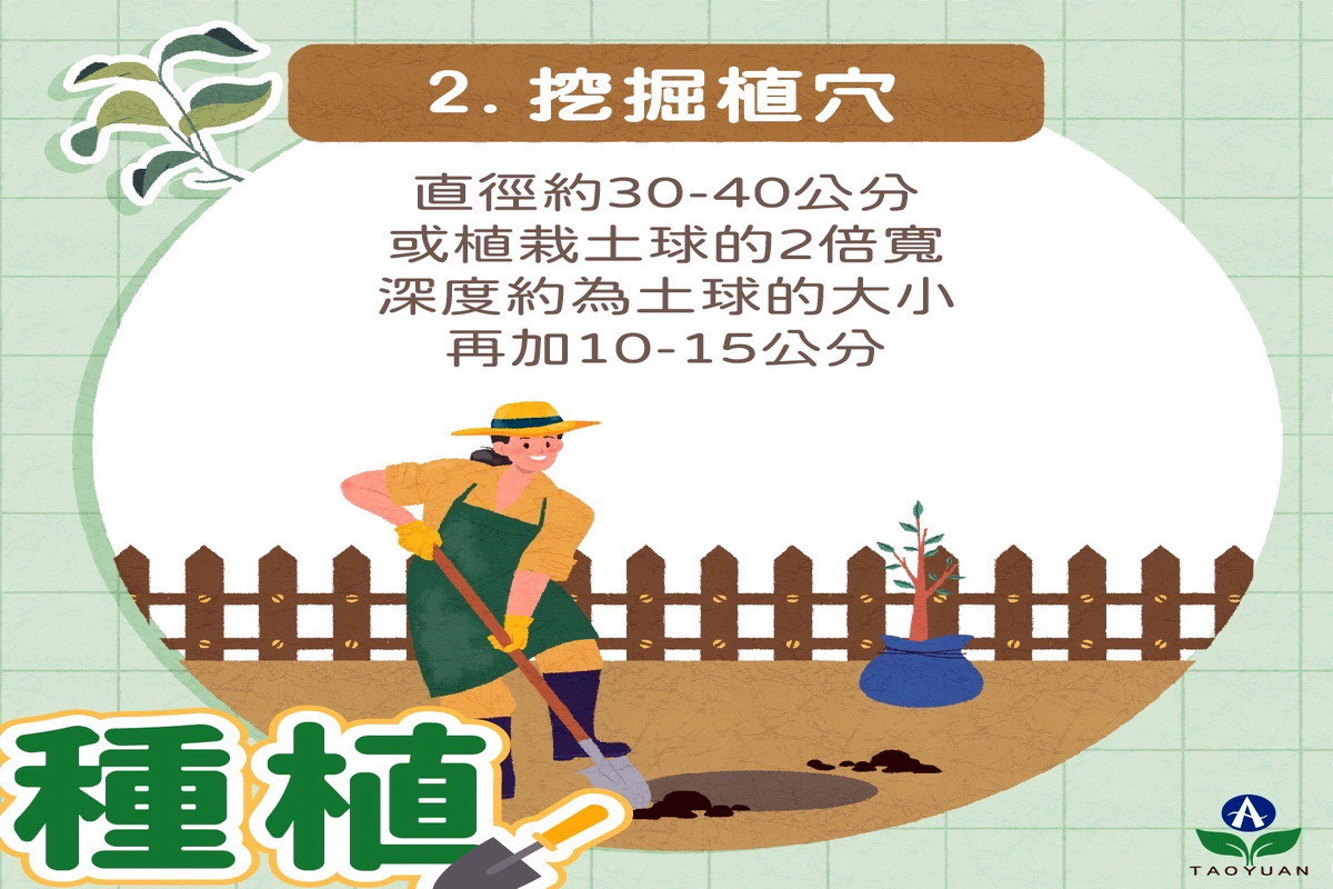 「穀雨」到了　 桃市府農業局教你種樹小技巧 台灣好新聞 第2張