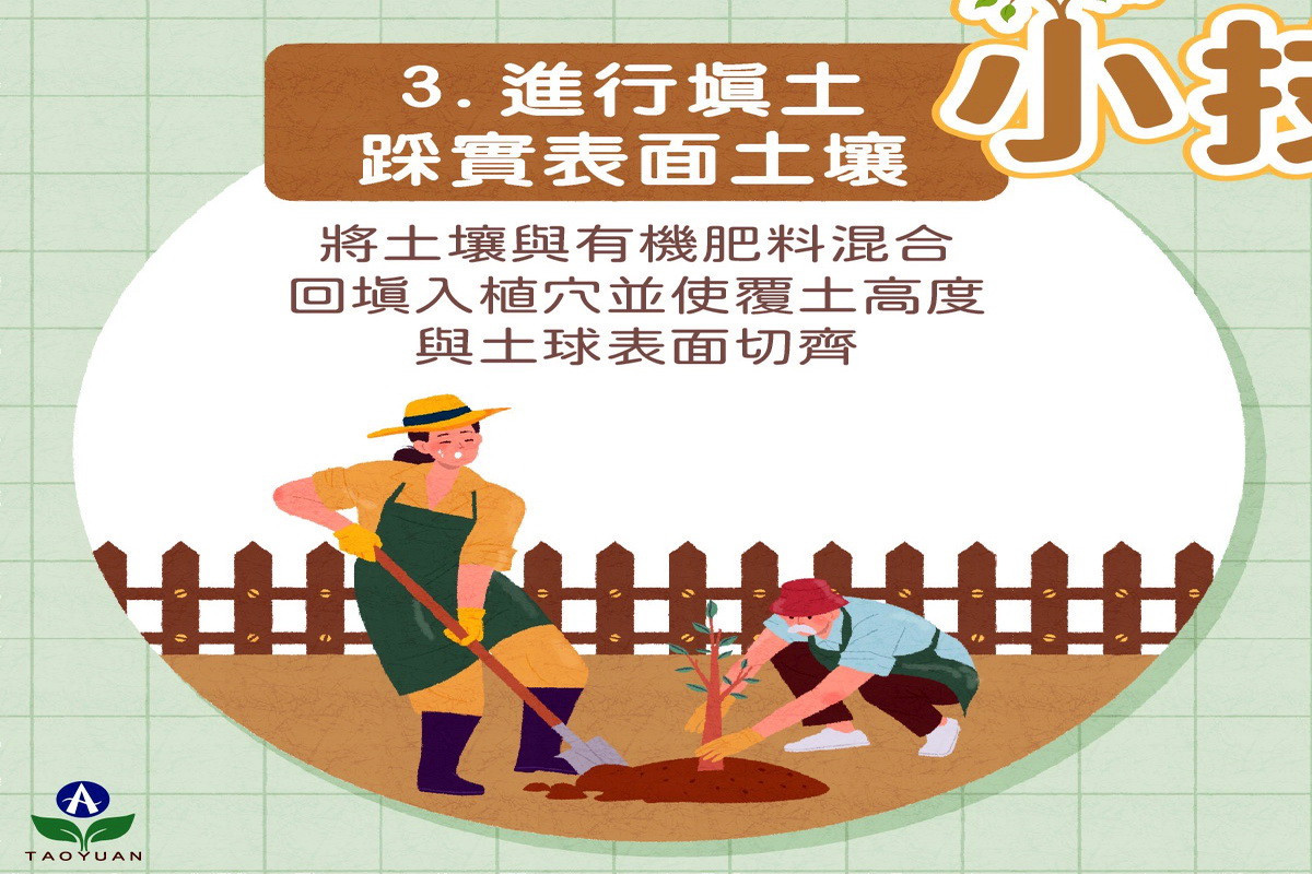 「穀雨」到了　 桃市府農業局教你種樹小技巧 台灣好新聞 第3張