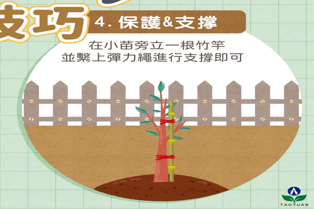 「穀雨」到了　 桃市府農業局教你種樹小技巧 台灣好新聞 第4張