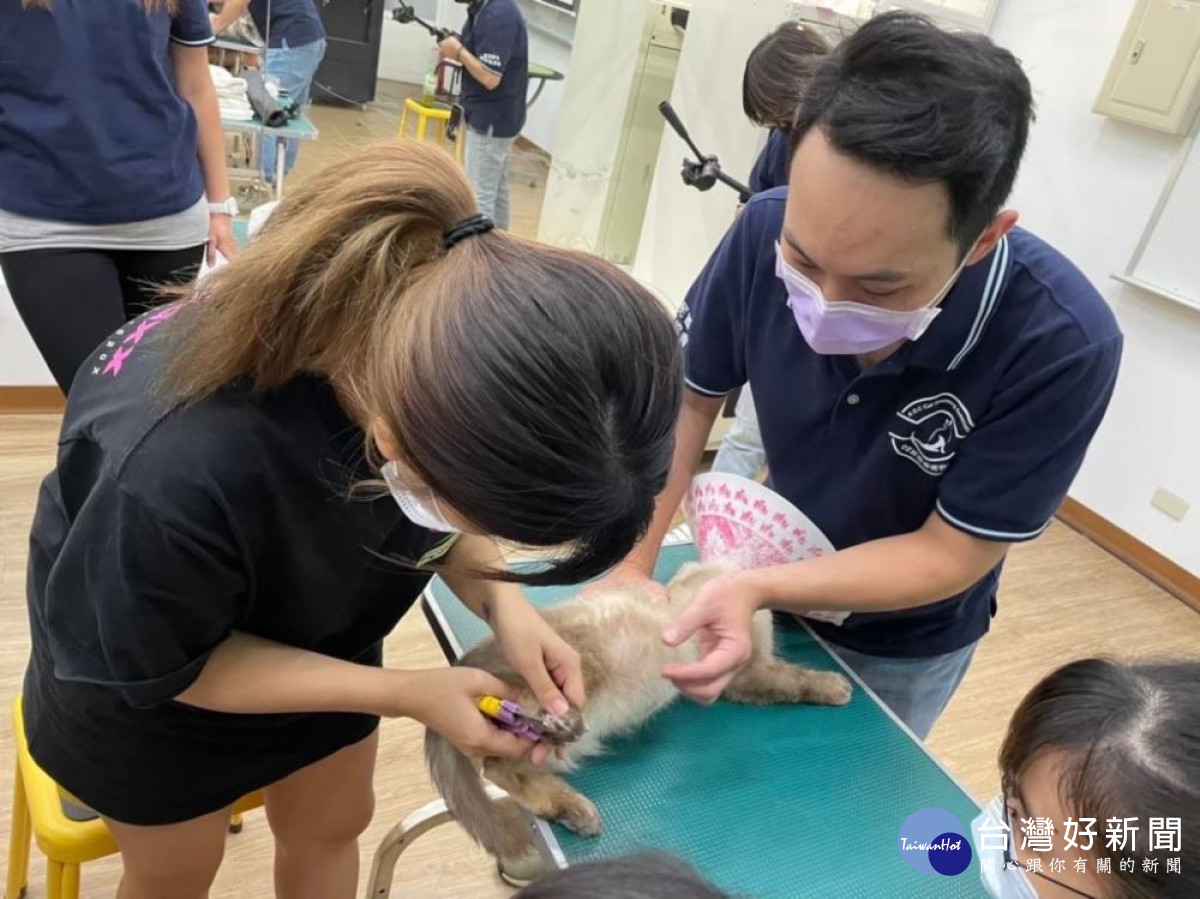 寵愛毛小孩　霧峰林家花園國際教育中心再推寵物美容及烘焙相關課程