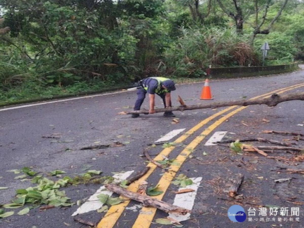 太平山區暴雨樹倒　警排除路障護路人