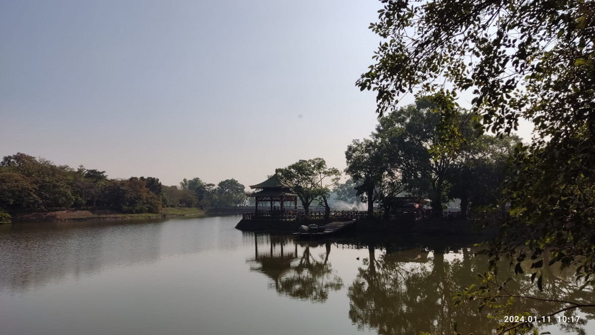 園區樹木倒塌壓死路人　澄清湖風景區即起至5/3封園一週安檢