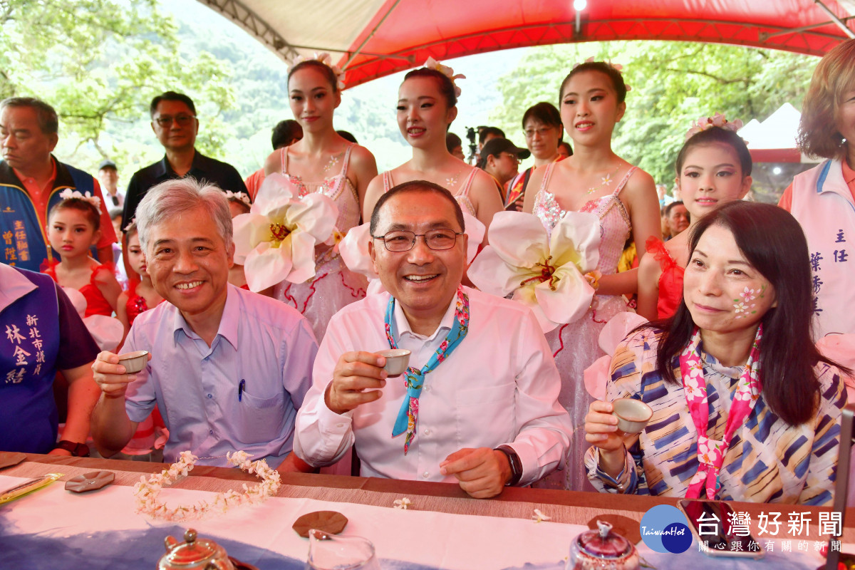 新北客家桐花祭　土城花漾登場 台灣好新聞 第3張