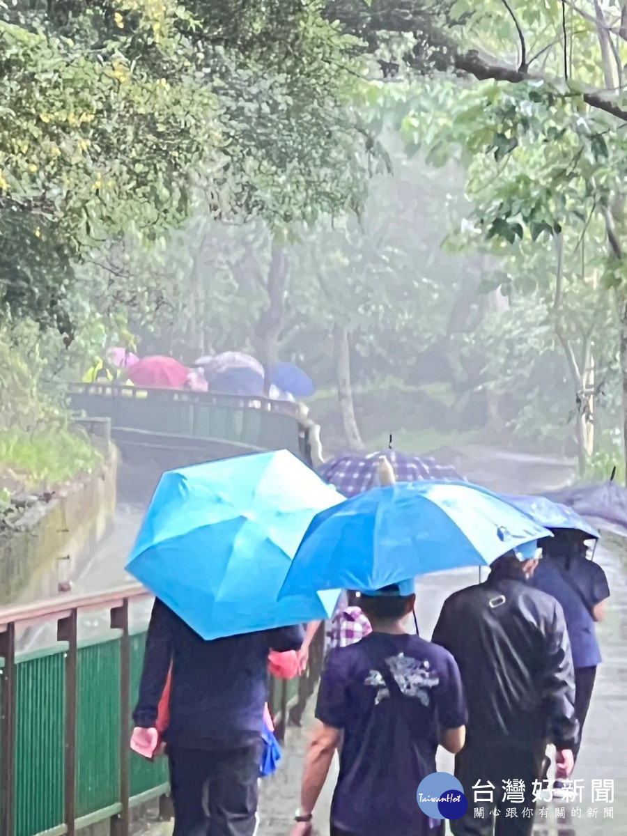 外埔悠遊水流東賞桐健行趣　千人雨中輕踏四月雪