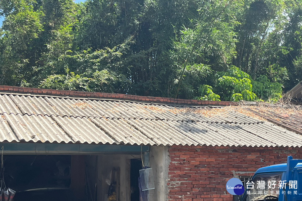 協助民眾清運拆除後石棉建材廢棄物，桃園市海管處提供免費服務。