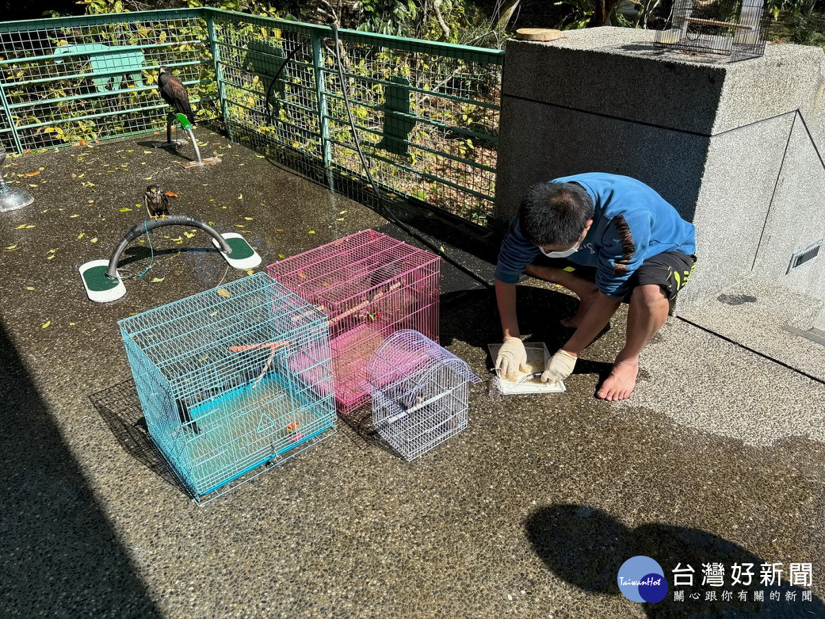 二水生態教育館華麗轉身 轉型野生動物保育基地