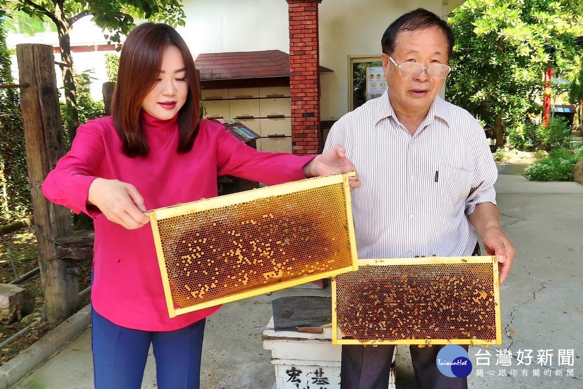蜂蜜產量史上最慘。