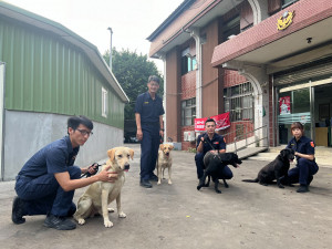 桃園市警察局刑事警察大隊警犬隊。(左起分別為Doha coco 蒟蒻 布丁)