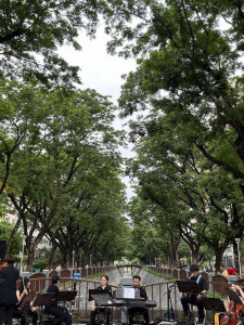 ▲楠梓區公所在雨豆樹下辦理音樂饗宴。