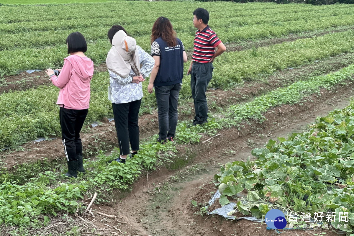 桃市府農業局邀相關單位人員至轄區受災農地勘查災損情況。<br />
