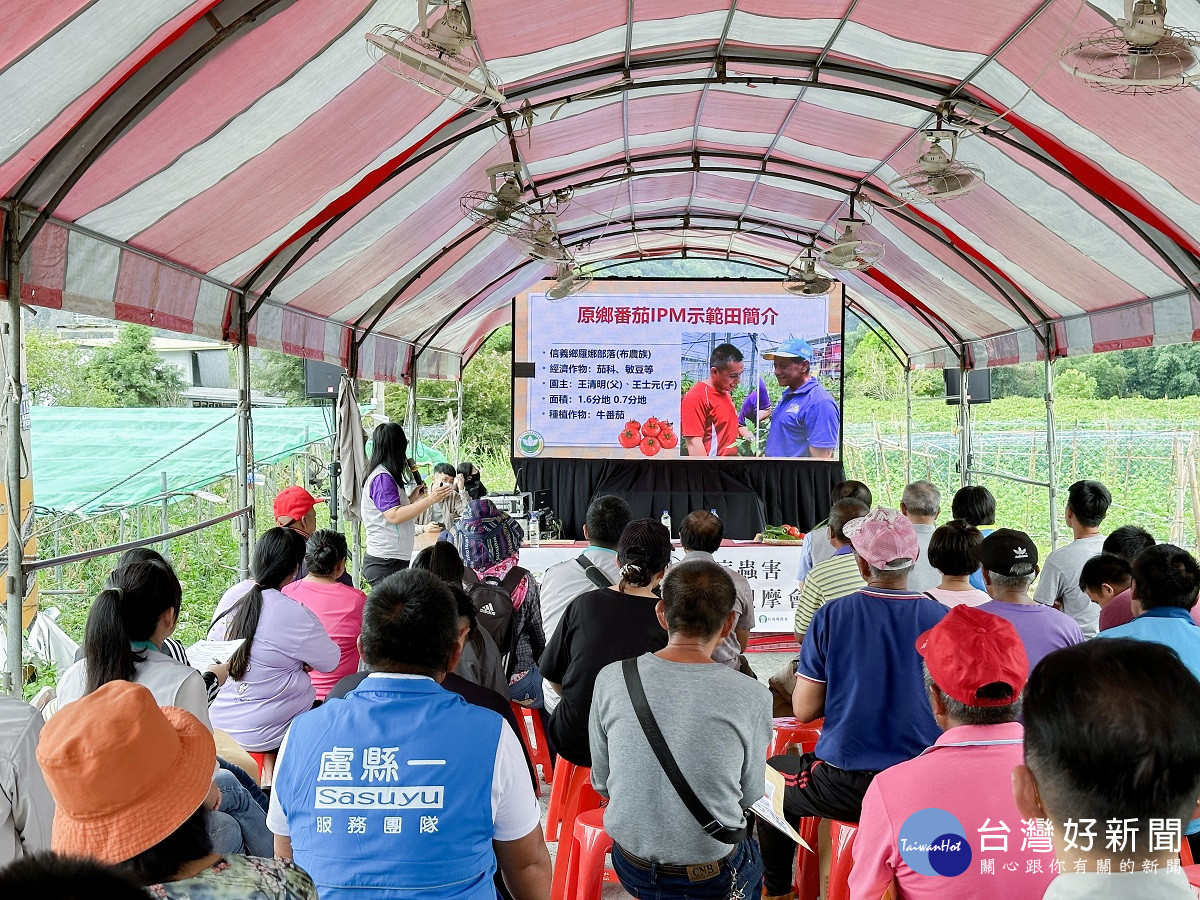 午後陣雨造成番茄、甜椒及辣椒病害　建議農友以清園、輪用藥劑搭配降低病蟲害