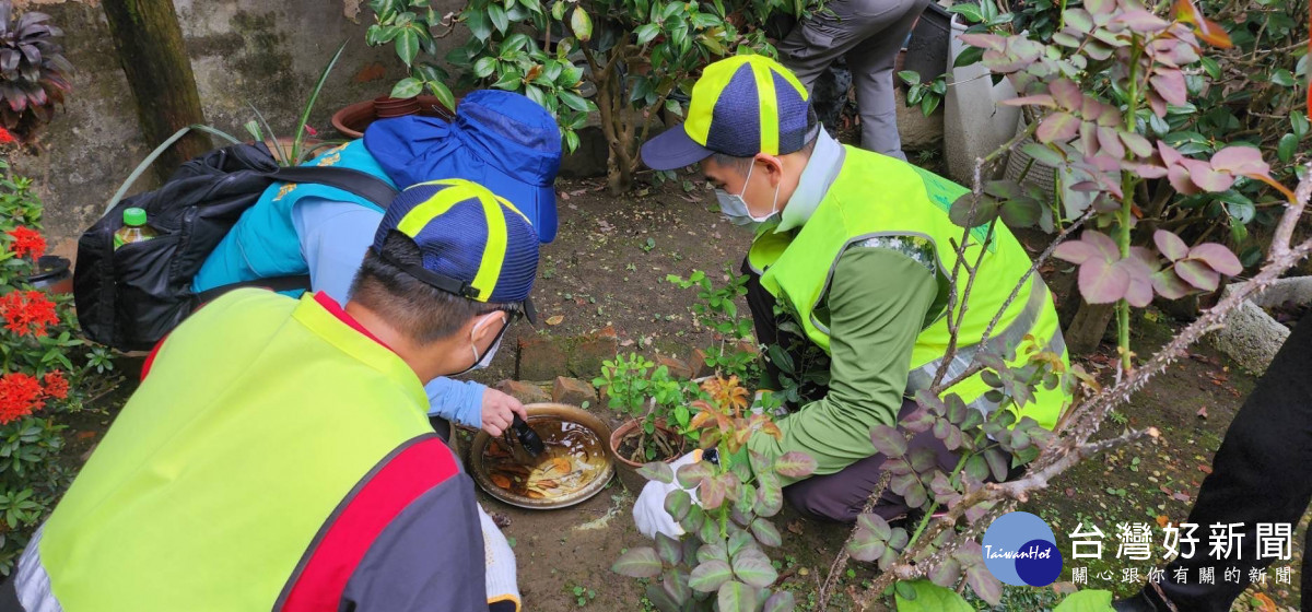 市府防疫團隊執行登革熱病媒蚊密度調查