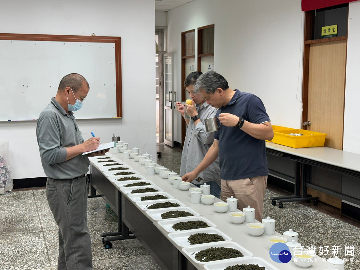 評審委員進行茶葉品茗。