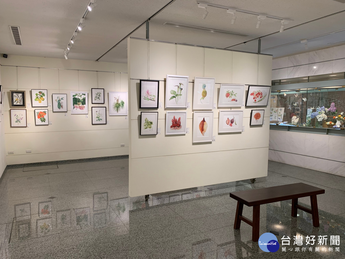 「植物紀實2024」展覽一角。（圖/頂新和德文教基金會提供)
