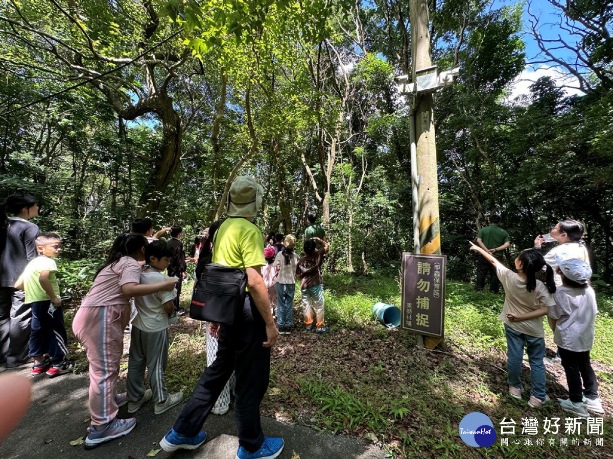 在東勢林場甲蟲保育區內觀察獨角仙生態。（圖/地方中心）