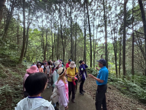 在炎熱的夏季東勢林場推出「壽星大放送」優惠活動，邀民眾森林旅遊享受涼夏。（圖/東勢林場）
