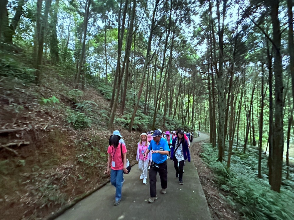 東勢林場夏日納涼好去處，在林間步道享受森林中的新鮮空氣跟息息涼風，透過志工導覽解說認識在地生態趣味。（圖/東勢林場）