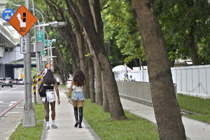 ▲左楠路人行環境優化，完善場館周邊步行轉乘動線。