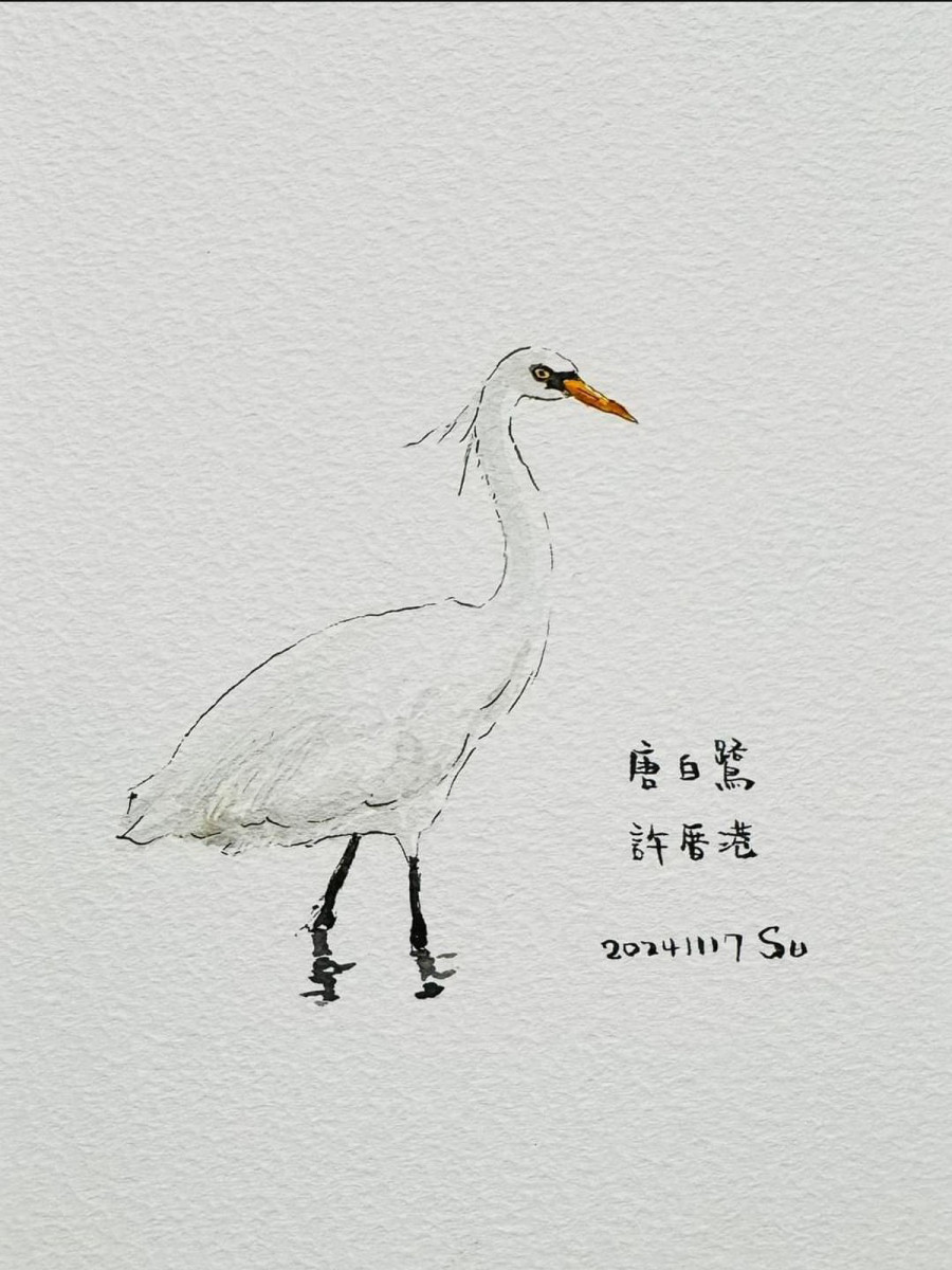 桃園市副市長蘇俊賓親筆手繪「唐白鷺」。<br />
