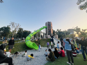 南興公園全新升級！「大樹原野遊戲場」完工開放探索