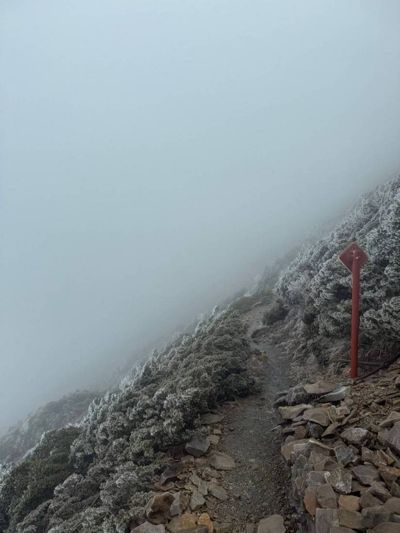 圓峰往排雲山莊步道霧淞(山友/玉管處提供)