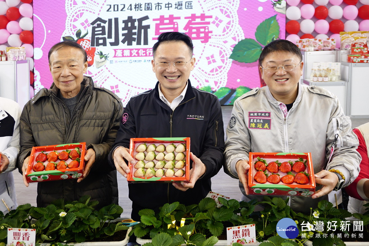 桃園市副市長蘇俊賓與農業局長陳冠義展示草莓產品。<br />
