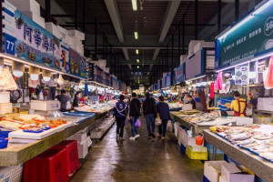 ▲高市府積極推動漁港多功能使用，漁港已成為民眾假日休閒觀光的好去處。