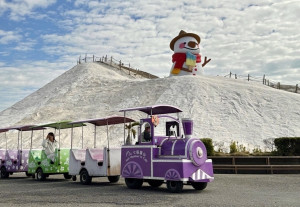七股鹽山6米高雪人佇立鹽山頂，彷彿置身冬日童話世界。