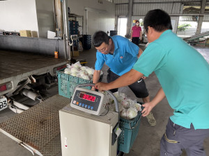 ▲高雄持續推動智慧農業補助，包含智慧感控系統、智慧環控系統、智慧生產及智慧服務等4類。