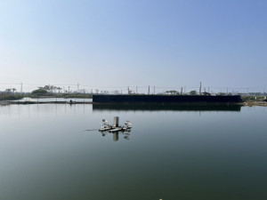 ▲今年最強寒流來襲，高市海洋局提醒養殖朋友隨時提高警覺。