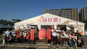 桃園好農市集燈區。