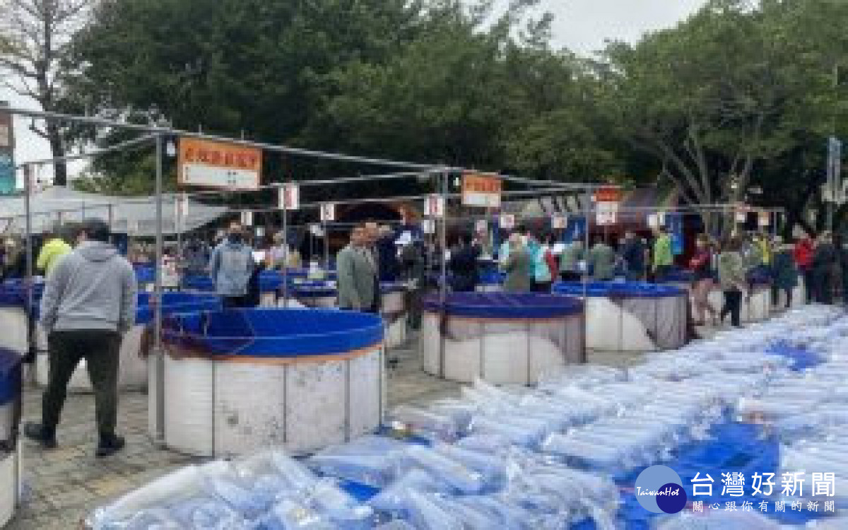 桃園市錦鯉研究協會將在元宵假期2月15、16日舉行「元宵節錦鯉博覽品評會」。