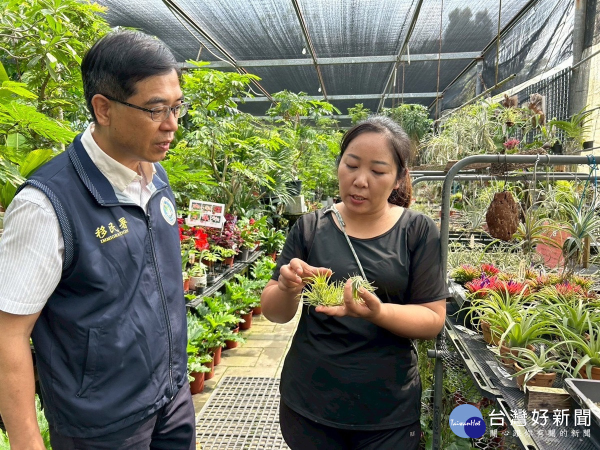 新住民在臺落地生根努力追逐夢想   用空氣鳳梨點燃綠色奇蹟