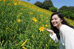 彰化花壇虎山巖金針花，母親節將迎來金黃花海。圖／參山處提供