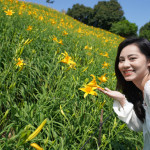 彰化花壇虎山巖金針花，母親節將迎來金黃花海。圖／參山處提供
