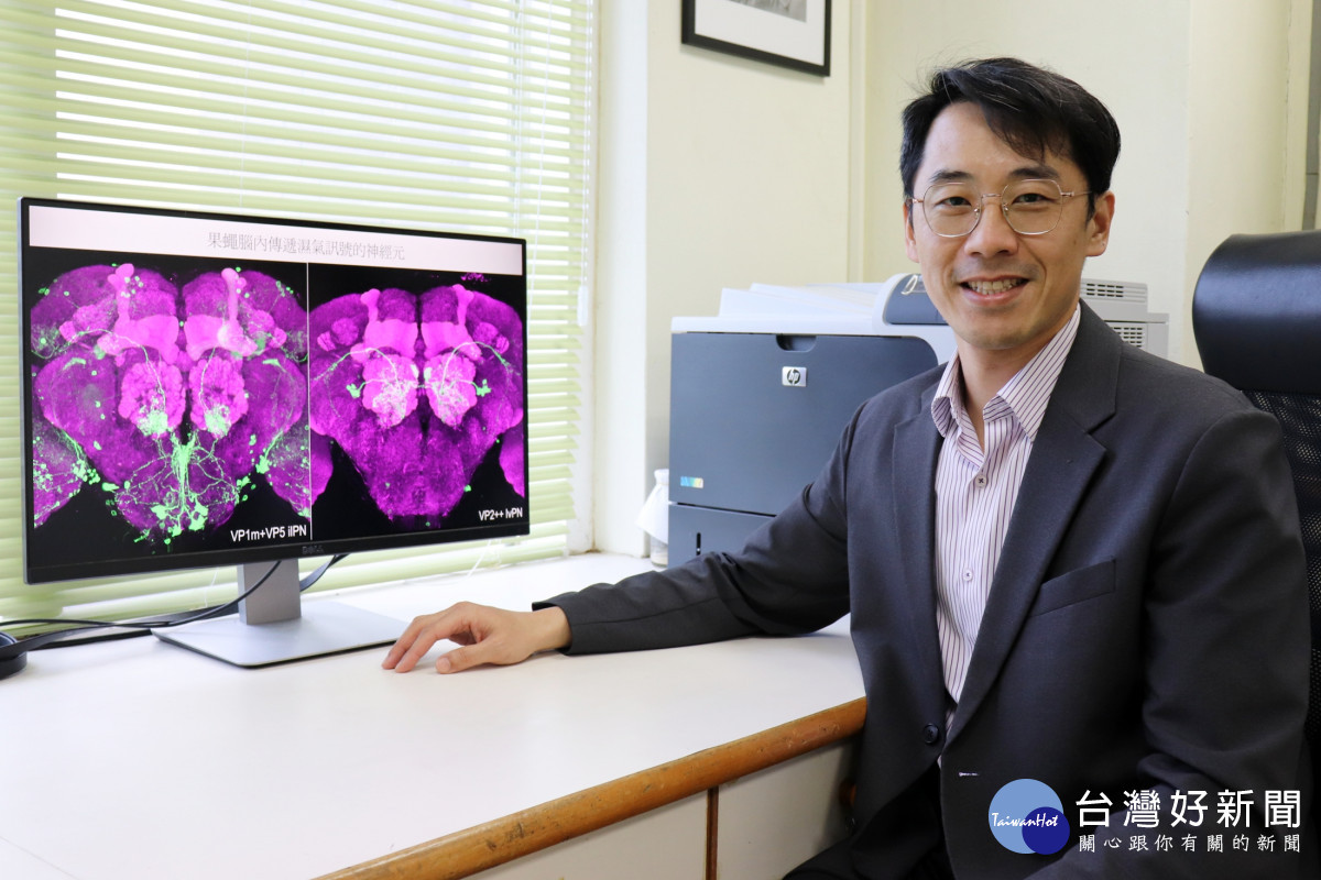 長庚大學吳嘉霖教授研究團隊發現，果蠅的水記憶與濕氣記憶是由腦中不同的神經迴路負責，且兩者會互相干擾