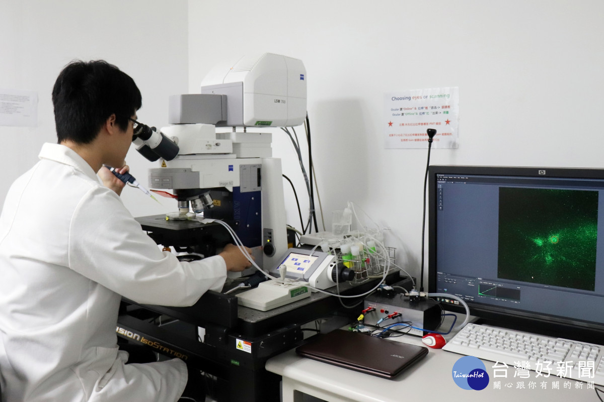 長庚大學吳嘉霖教授團隊運用高解析顯微螢光設備，即時觀察活體果蠅神經元的活性變化