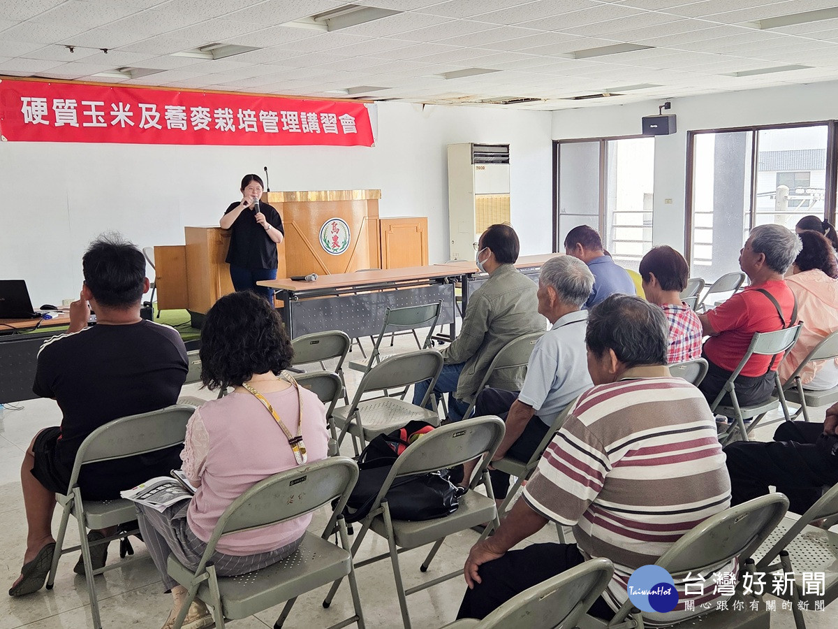 適時種植搭配合理灌排水管理    中部雜糧「2轉」免煩惱