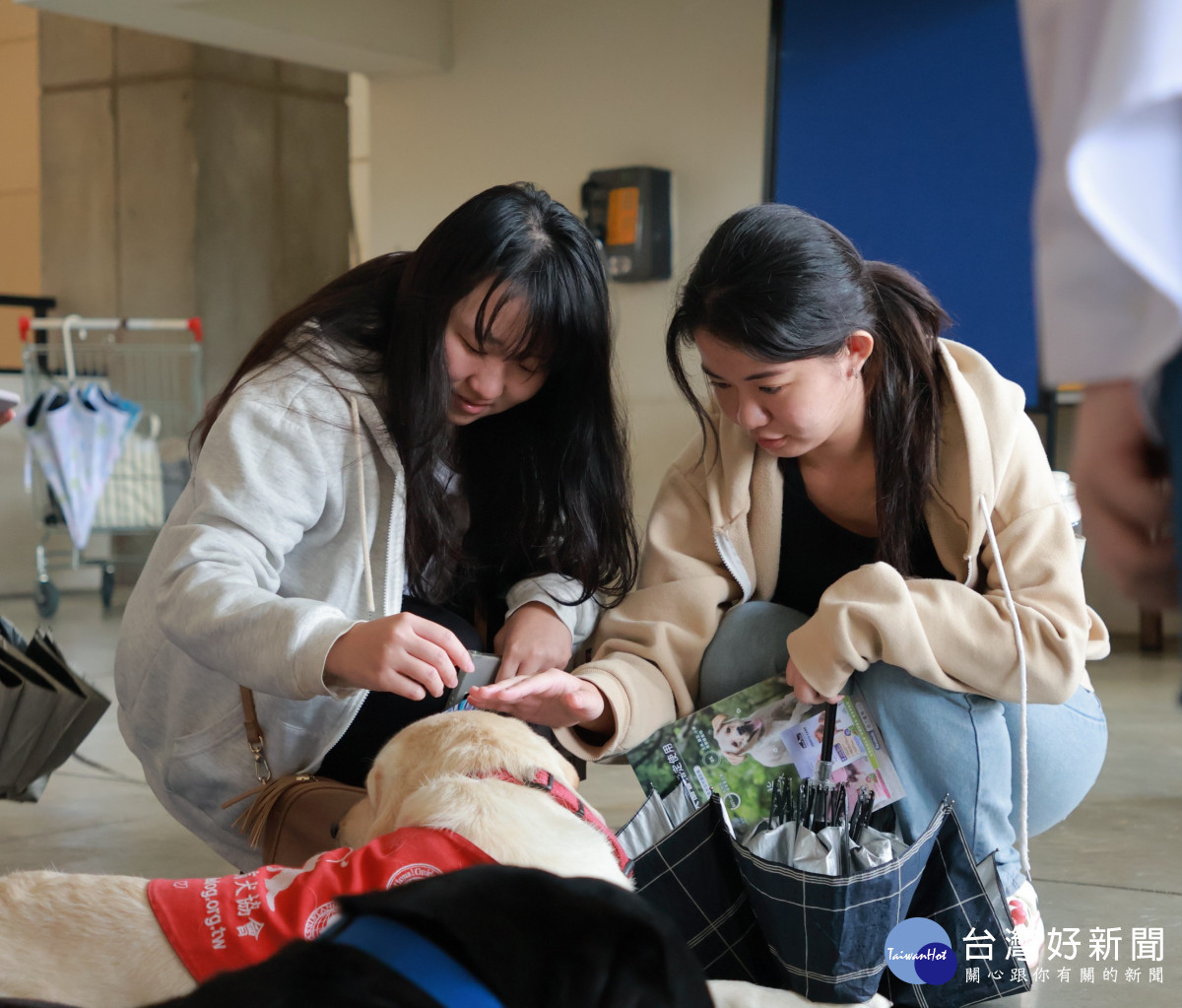 同學與導盲犬互動，感受導盲犬溫柔穩定的陪伴力量