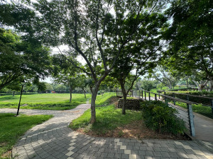 公館公園依坡地設計，綠意層次分明，設有約1公里人行步道，四季皆宜賞景。圖片提供／業者