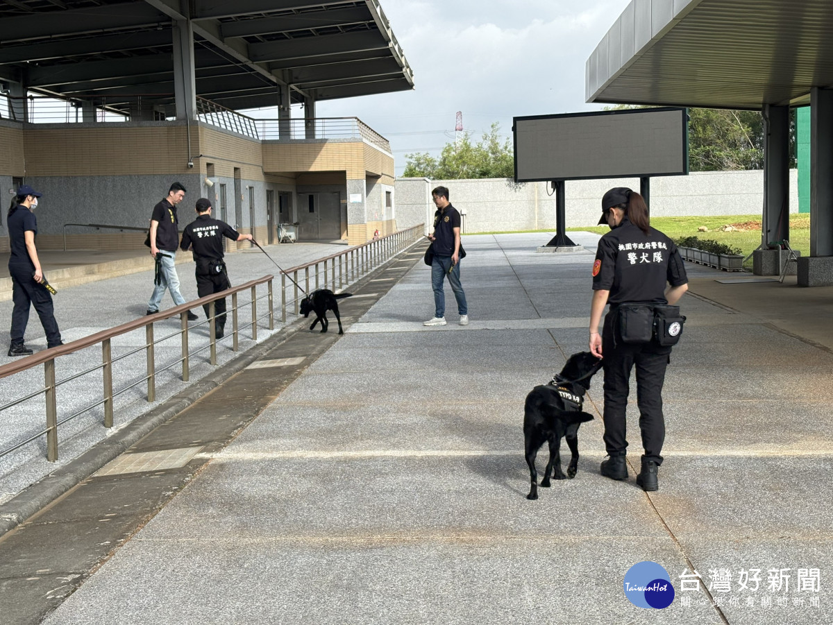 市警局警犬隊執行場檢任務，由領犬員分別攜兩名警犬「蒟蒻」、「布丁」到場協助。