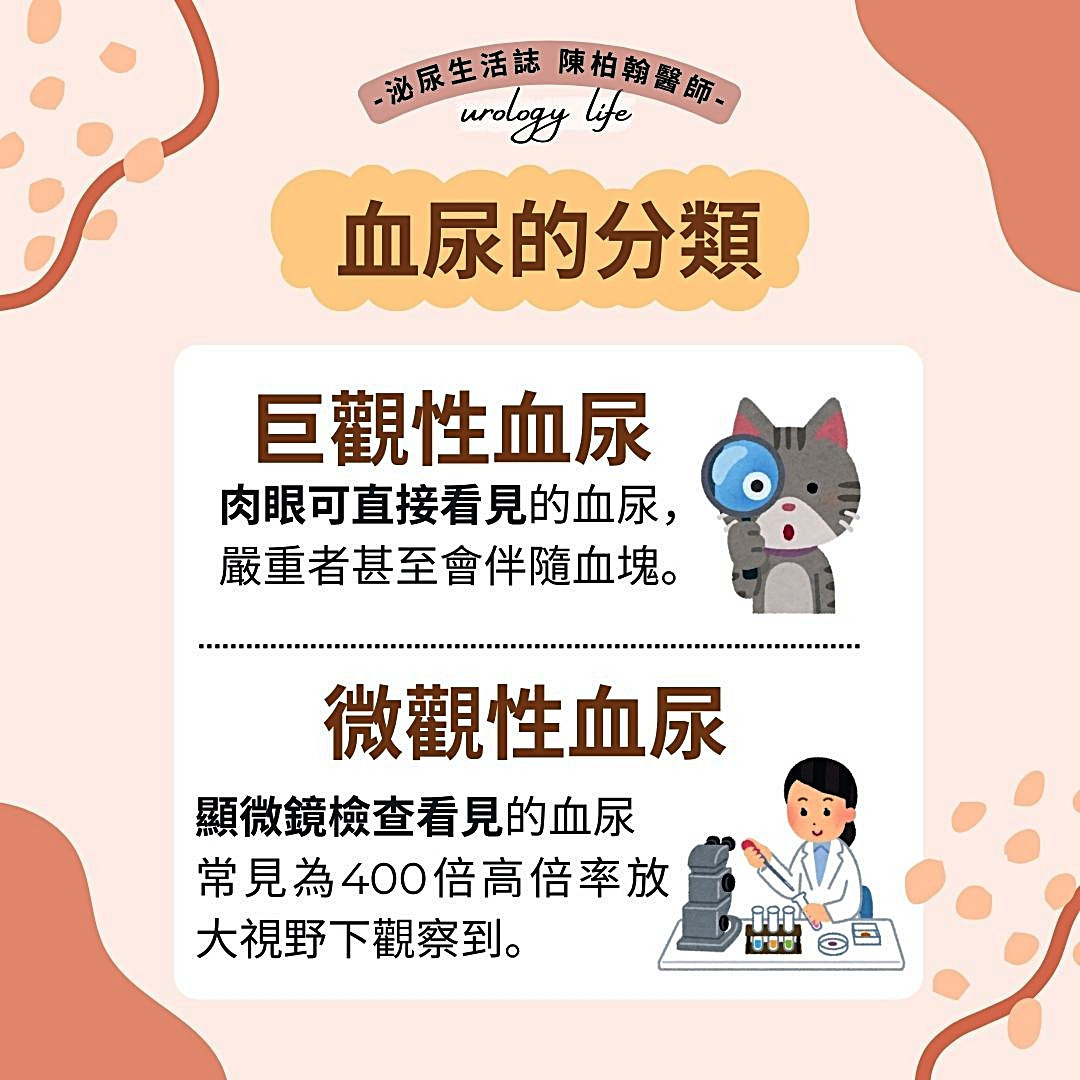 圖參考自臉書粉專：陳柏翰醫師 泌尿生活誌