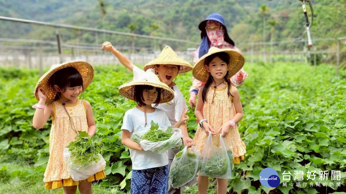中原學生打造龍鬚菜採摘活動，讓親子樂在農田、體驗農趣。