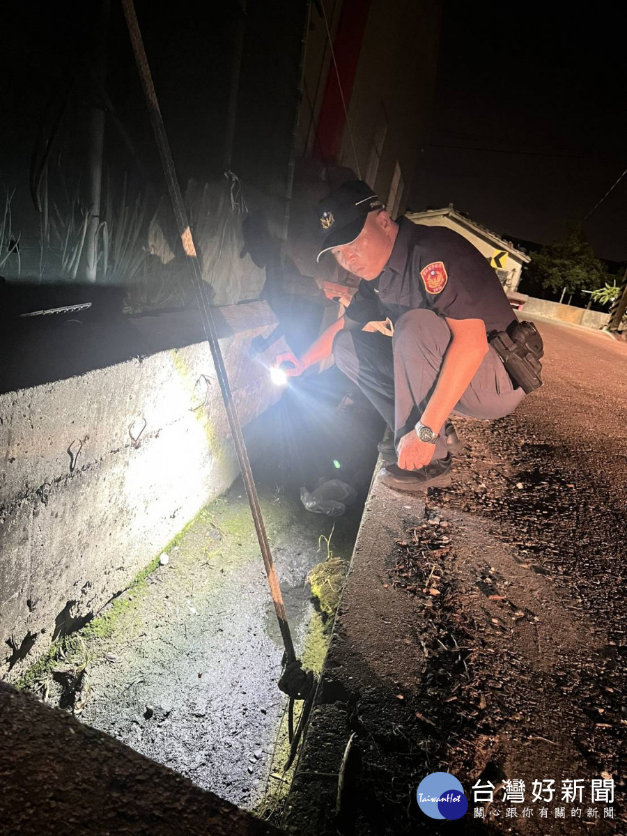 警員鍾坤霖持手電筒前往該水溝找回程男遺失的蘇卡達陸龜／警方提供