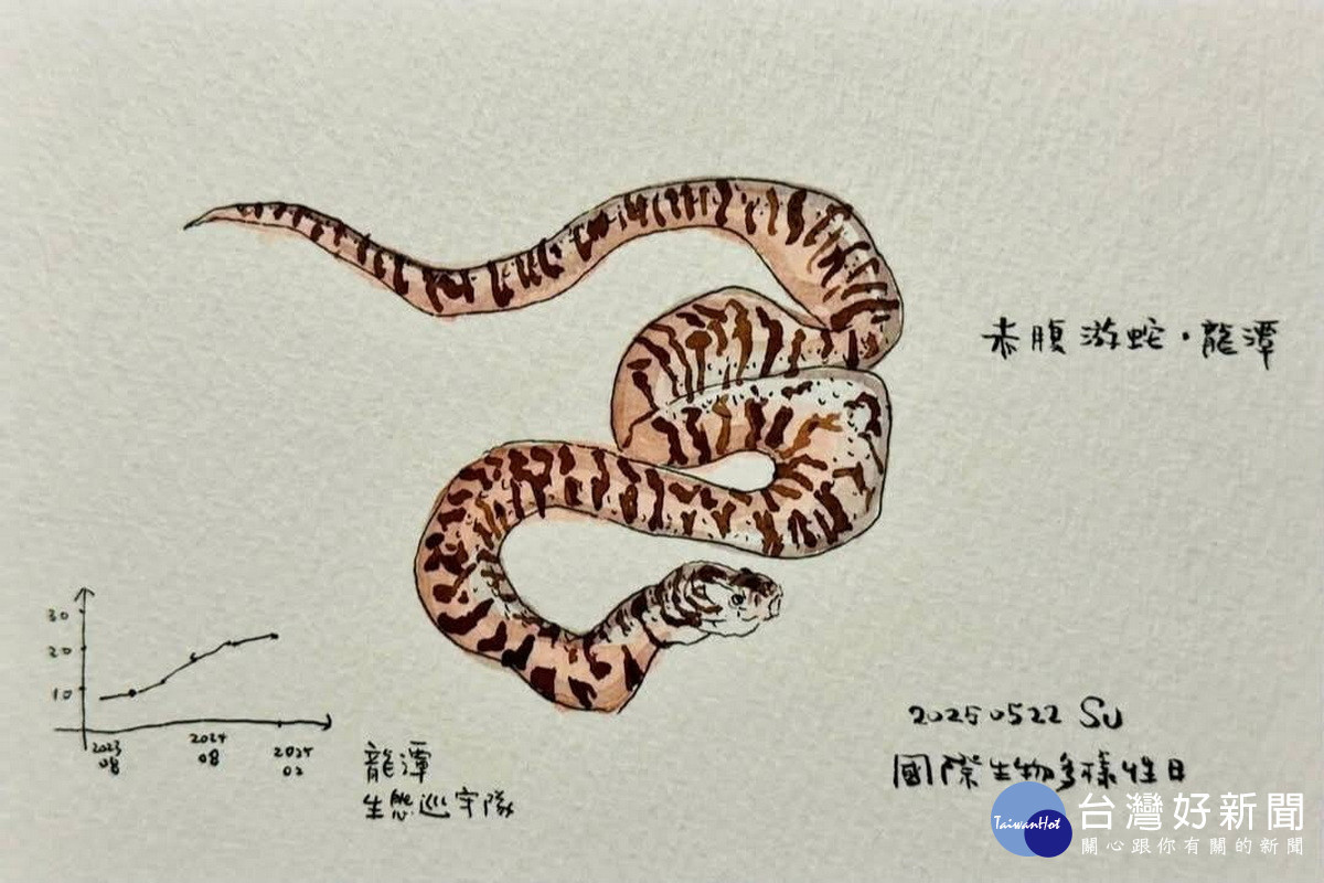 桃園市副市長蘇俊賓手繪生態插圖向志工致敬。<br />
