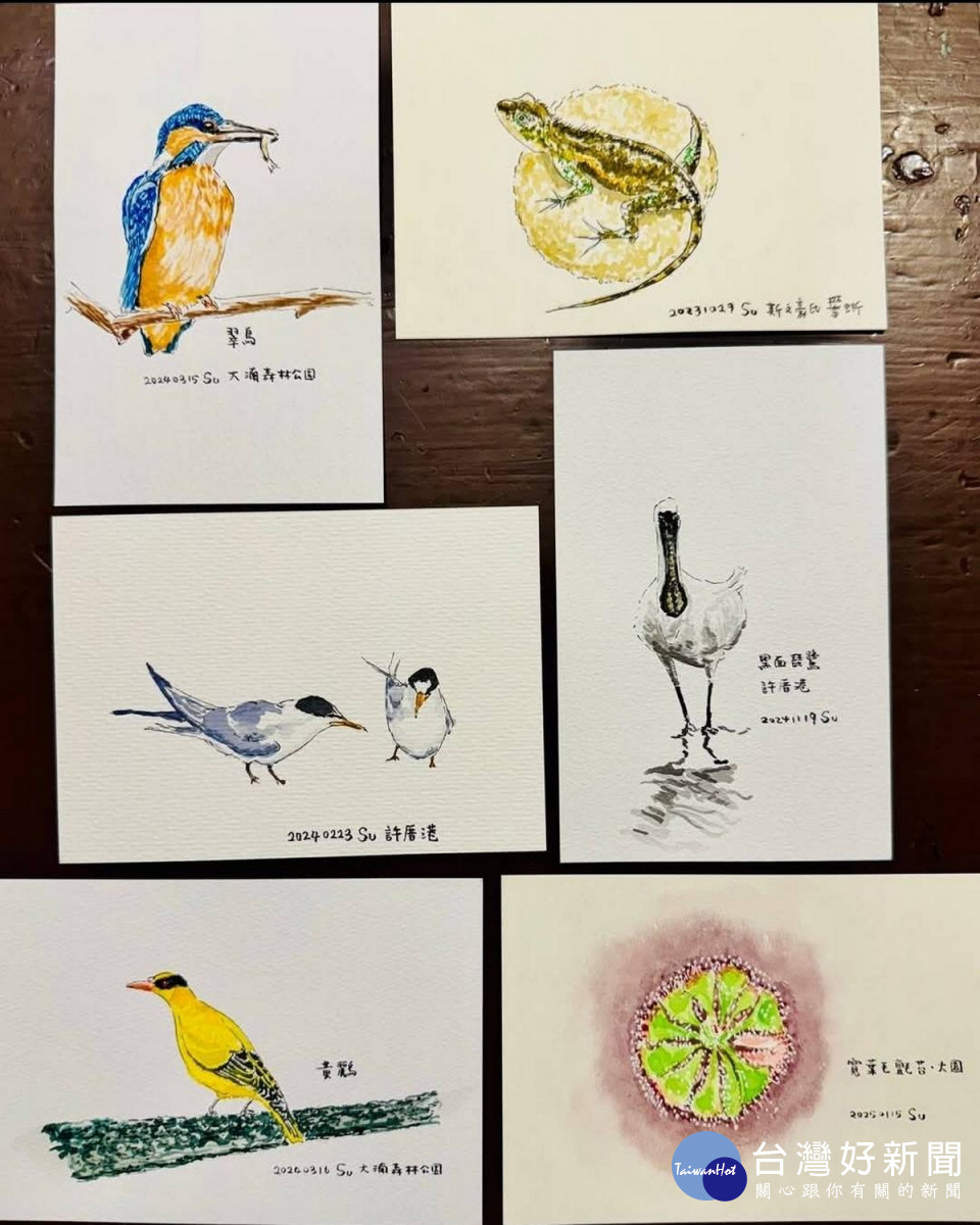 桃園市副市長蘇俊賓手繪生態插圖向志工致敬。<br />
