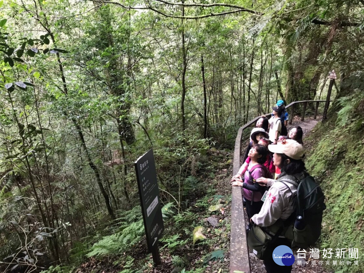 探索北橫出發，三大主題遊程等你玩，再抽桃園住宿大獎！